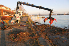 Bildergalerie "Hochwasser - Aufräumarbeiten" Äste, Strächer, manchmal ganze Bäume: Eine Flutwelle hat Kraft.