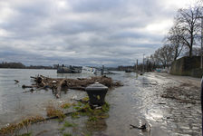 Bildergalerie "Hochwasser - Aufräumarbeiten" Das Wasser geht, der angeschwemmte Dreck bleibt.