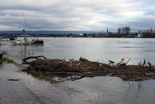 Bildergalerie "Hochwasser - Aufräumarbeiten" Was wie eine Insel aussieht, sind Überreste eines Hochwassers.