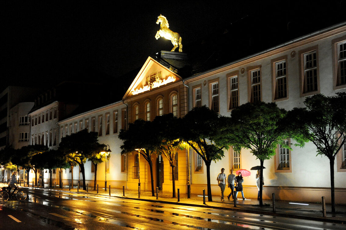 Landesmuseum bei Nacht