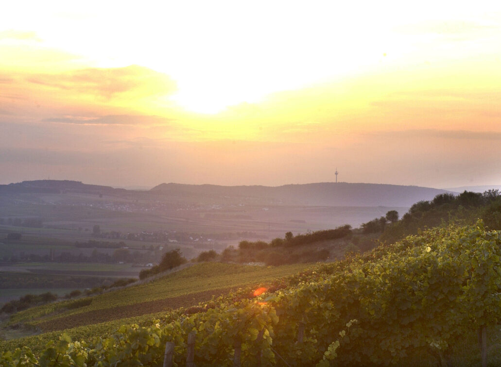 Romantisches Rheinhessen in der Abenddämmerung