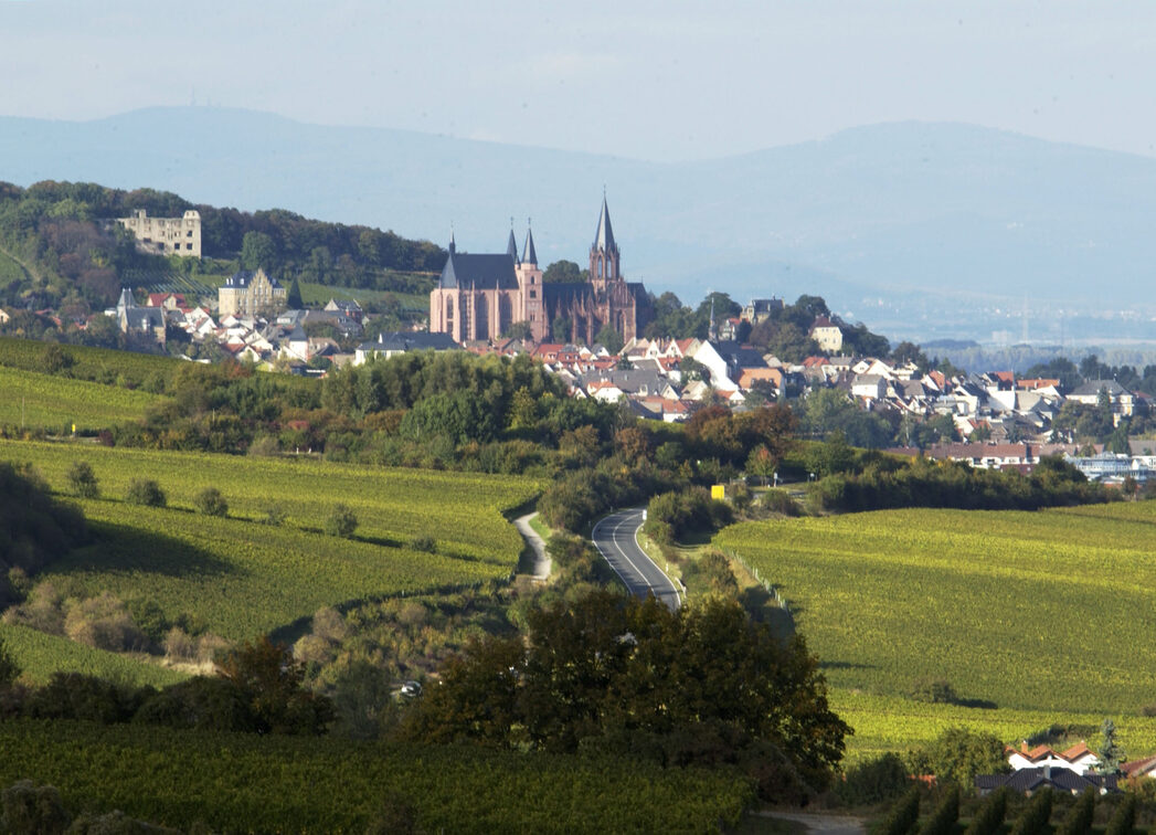 Oppenheim mit Katharinenkirche und der Ruine Landskrone
