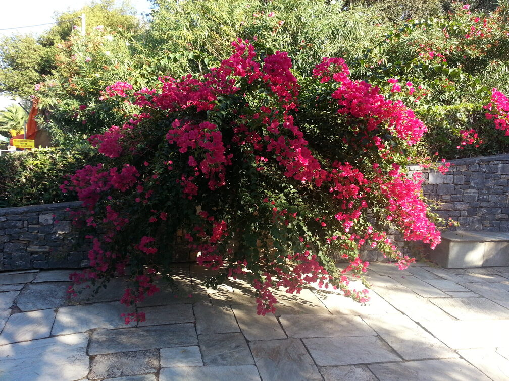 Überbetriebliche Ausbildung Gärtner:innen auf Kreta