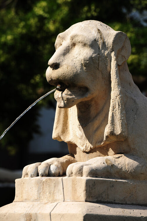 Detail des Neubrunnens