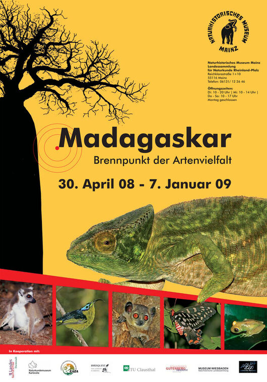 Madagaskar: Brennpunkt der Artenvielfalt.