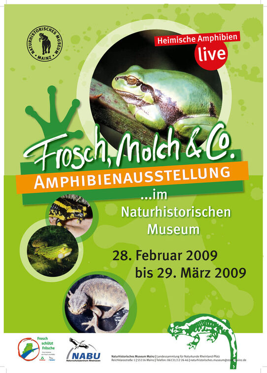 Forsch, Molch und Co.: Amphibienausstellung.
