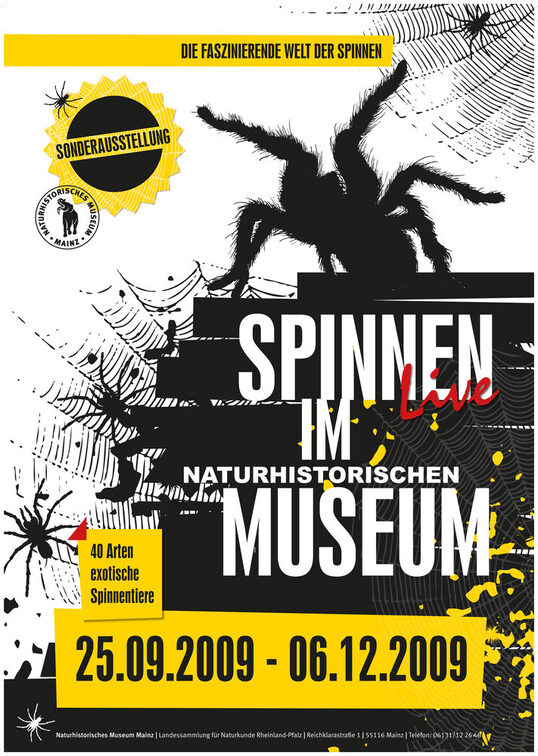 Spinnen im Naturhistorischen Museum.