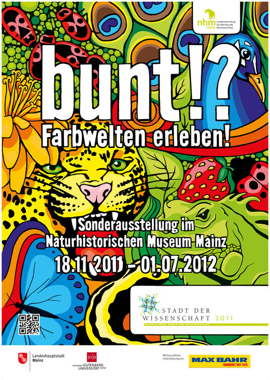 bunt!? Farbwelten erleben!