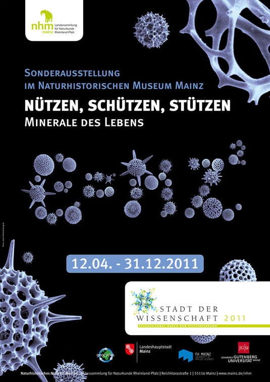 Nützen, Schützen, Stützen: Minerale des Lebens.