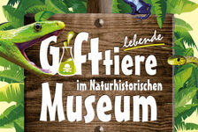 Bildergalerie Sonderausstellungen Lebende Gifttiere im Naturhistorischen Museum.