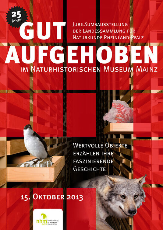 Gut aufgehoben im Naturhistorischen Museum Mainz.