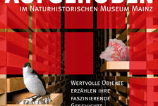 Bildergalerie Sonderausstellungen Gut aufgehoben im Naturhistorischen Museum Mainz.
