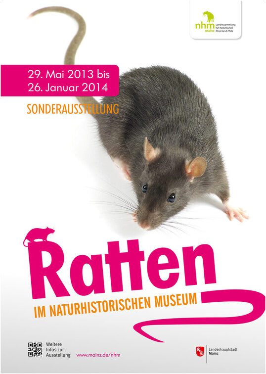 Ratten im Naturhistorischen Museum.