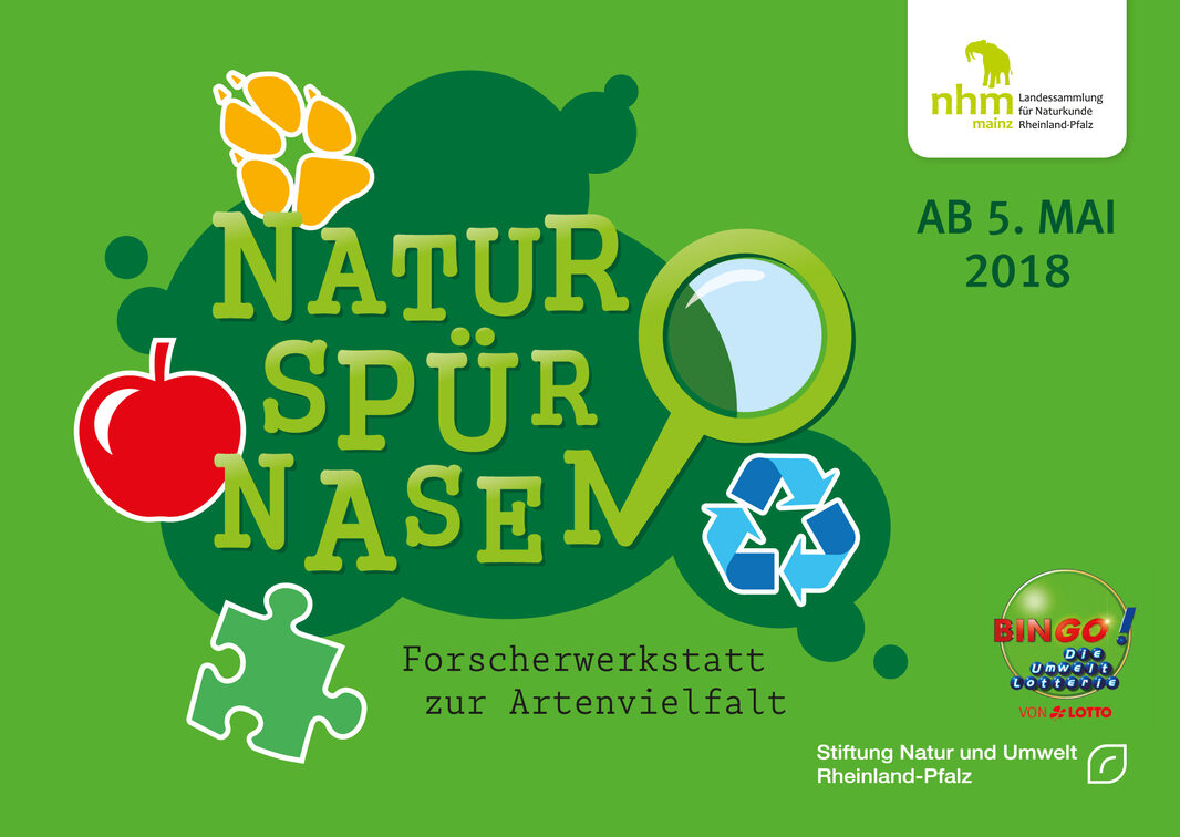 Naturspürnasen: Forscherwertstatt zur Artenvielfalt.