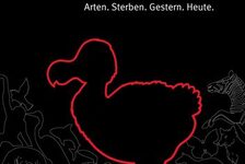 Bildergalerie Sonderausstellungen Tot wie ein Dodo: Arten. Sterben. Gestern. Heute.