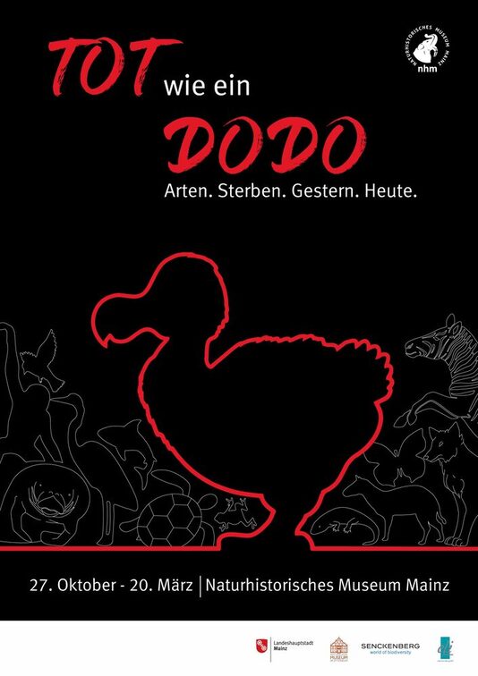 Tot wie ein Dodo: Arten. Sterben. Gestern. Heute.