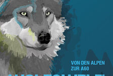 Bildergalerie Sonderausstellungen Wolfswelt: Von den Alpen zur A60.