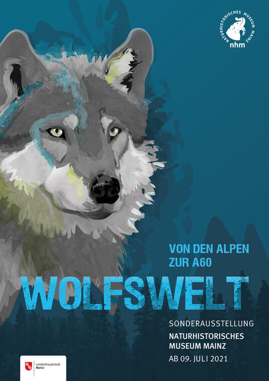 Wolfswelt: Von den Alpen zur A60.
