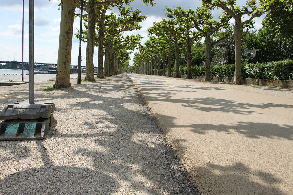 View of the banks of the Rhine with new colored asphalt