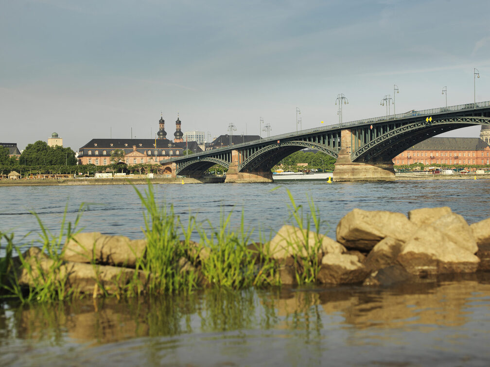 Theodor Heuss Bridge with a view of the state parliament