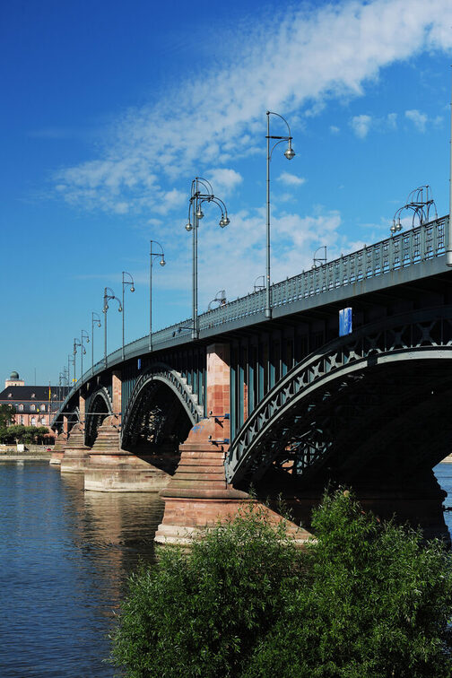 Theodor Heuss Bridge