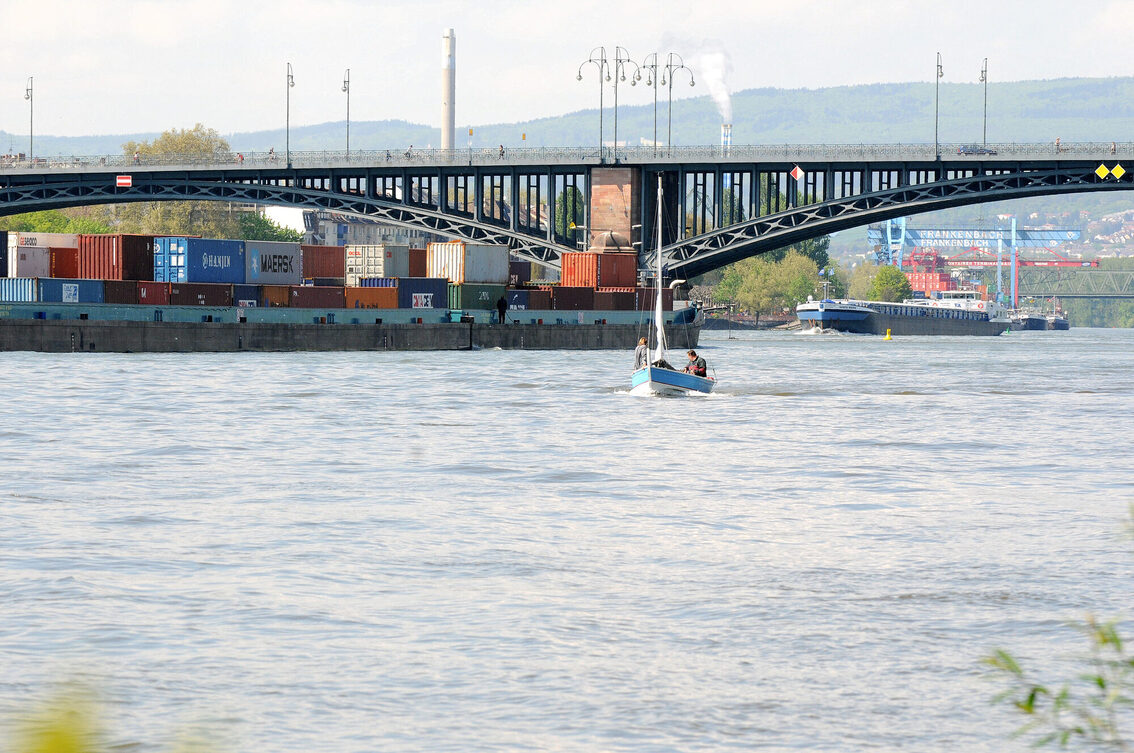 Container ship in front of the Theodor Heuss Bridge