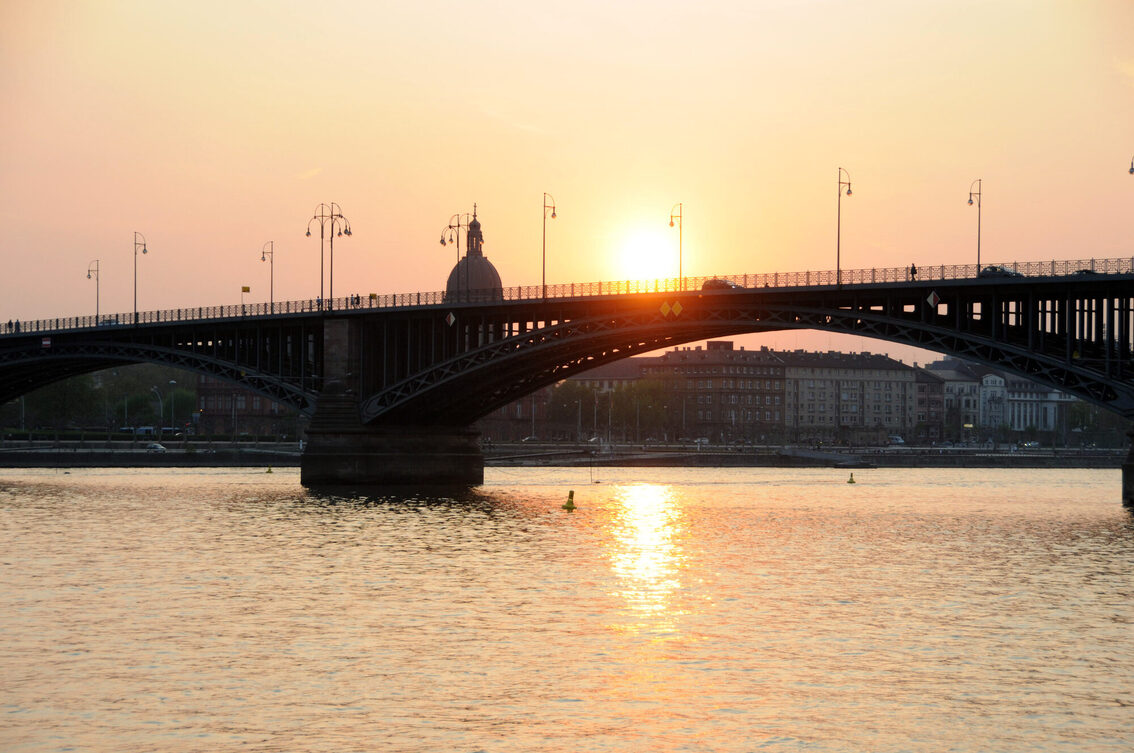 Theodor Heuss Bridge