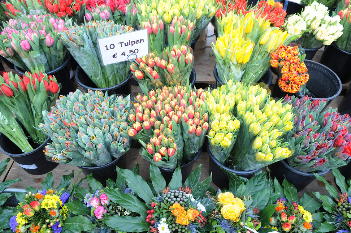 Tulpen in allen Farben auf dem Wochenmarkt