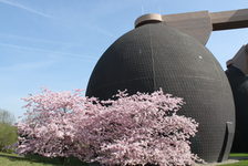 Bildergalerie „Umwelt" - WIRTSCHAFTSBETRIEB Frühling Im Einklang mit der Natur - unsere Faultürme auf dem Klärwerksgelände in Mainz-Mombach