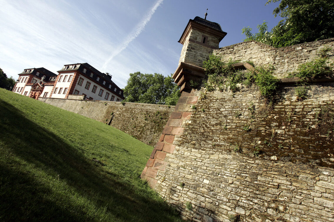 Citadel wall with citadel