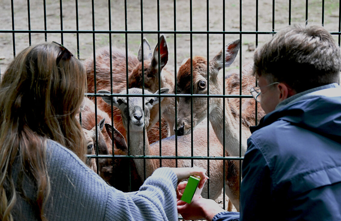 Besucher im Wildpark Gonsenheim
