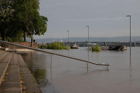 Hochwasser in Mainz, Juni 2024