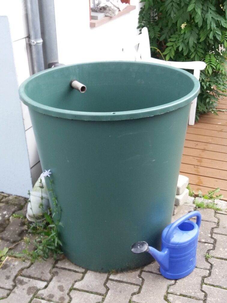 Rain barrel as a breeding ground for mosquito larvae