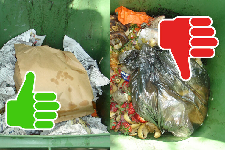 An example of a correctly and incorrectly filled organic waste bin