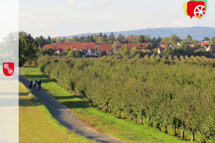 Blick auf Mainz Drais über die Felder