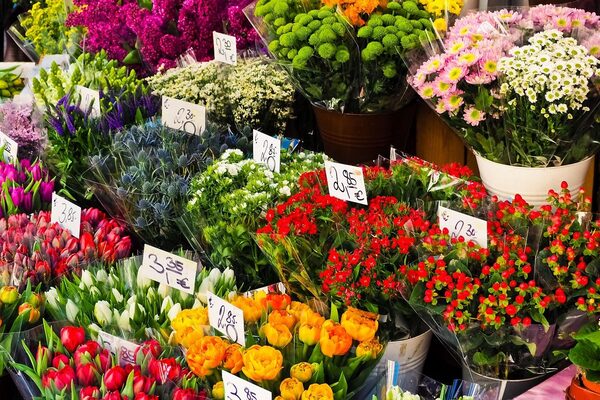 Beliebte Schnittblumen - doch woher kommen sie? © pixabay