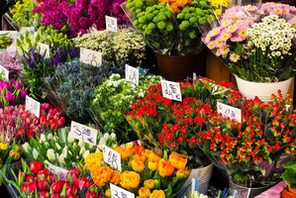 Beliebte Schnittblumen - doch woher kommen sie? © pixabay