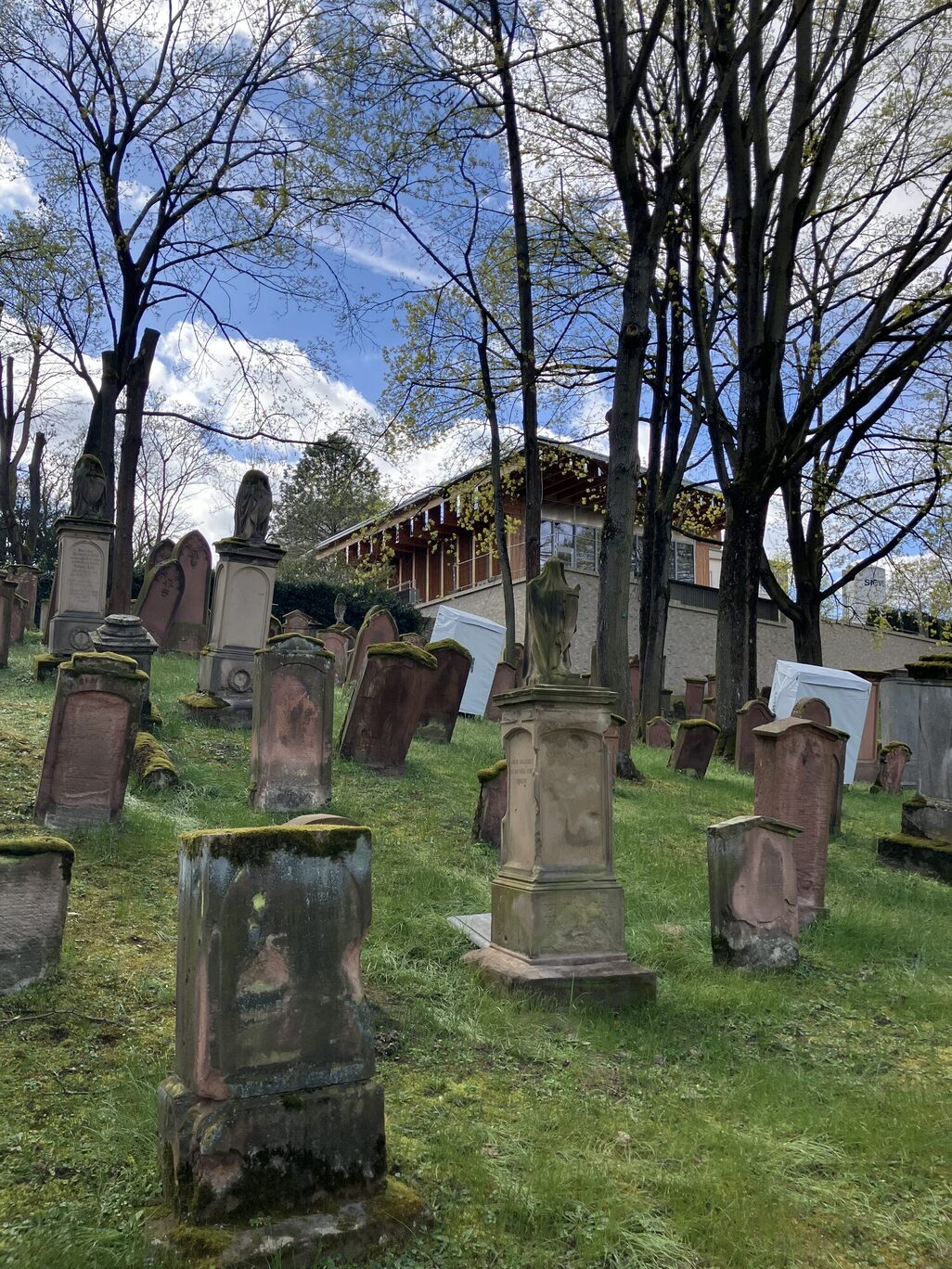 Pierres tombales du vieux cimetière juif de Mayence