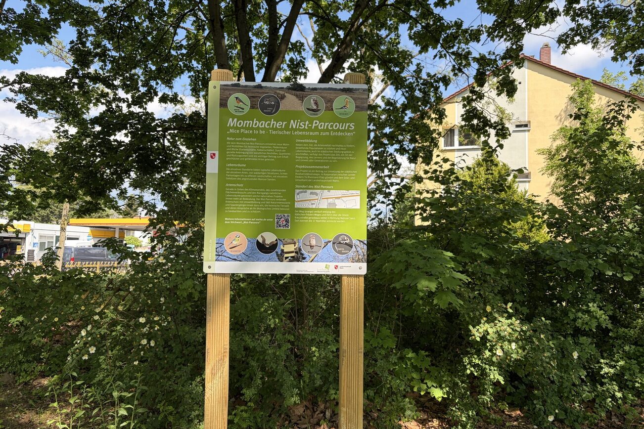 Nesting course in Mombach