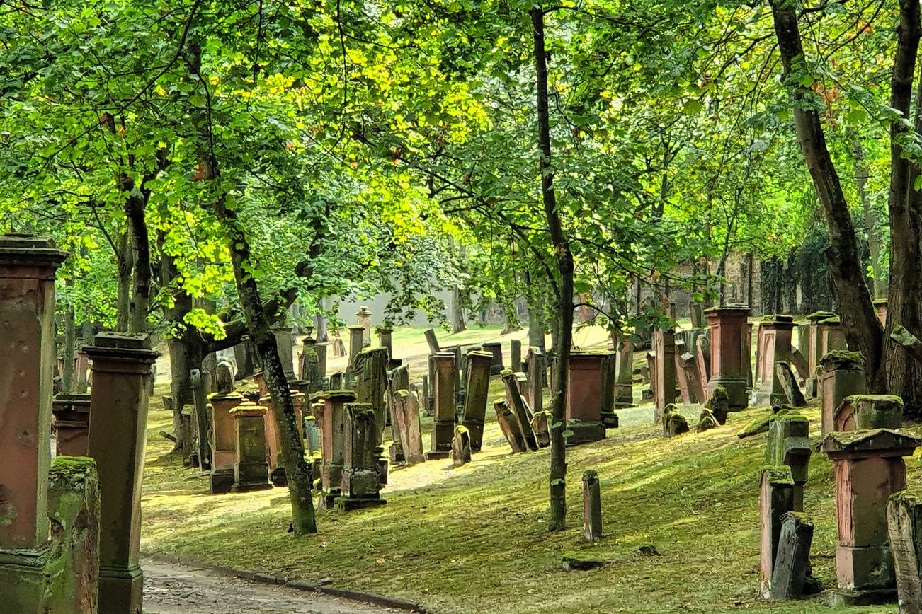 Gravestones in the shade of trees at the old Jewish cemetery "Am Judensand" in Mainz.