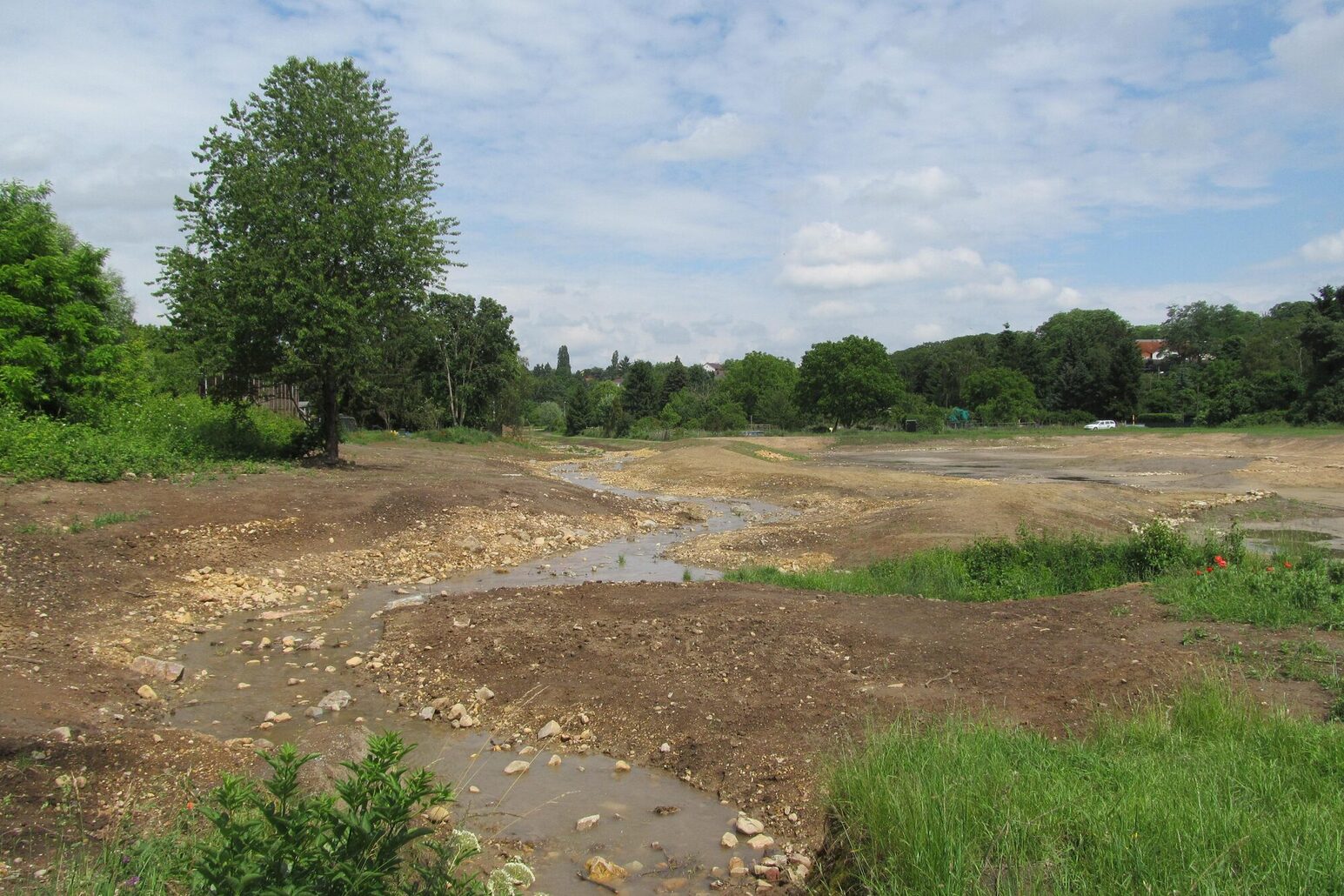 Gonsbach Renaturierung