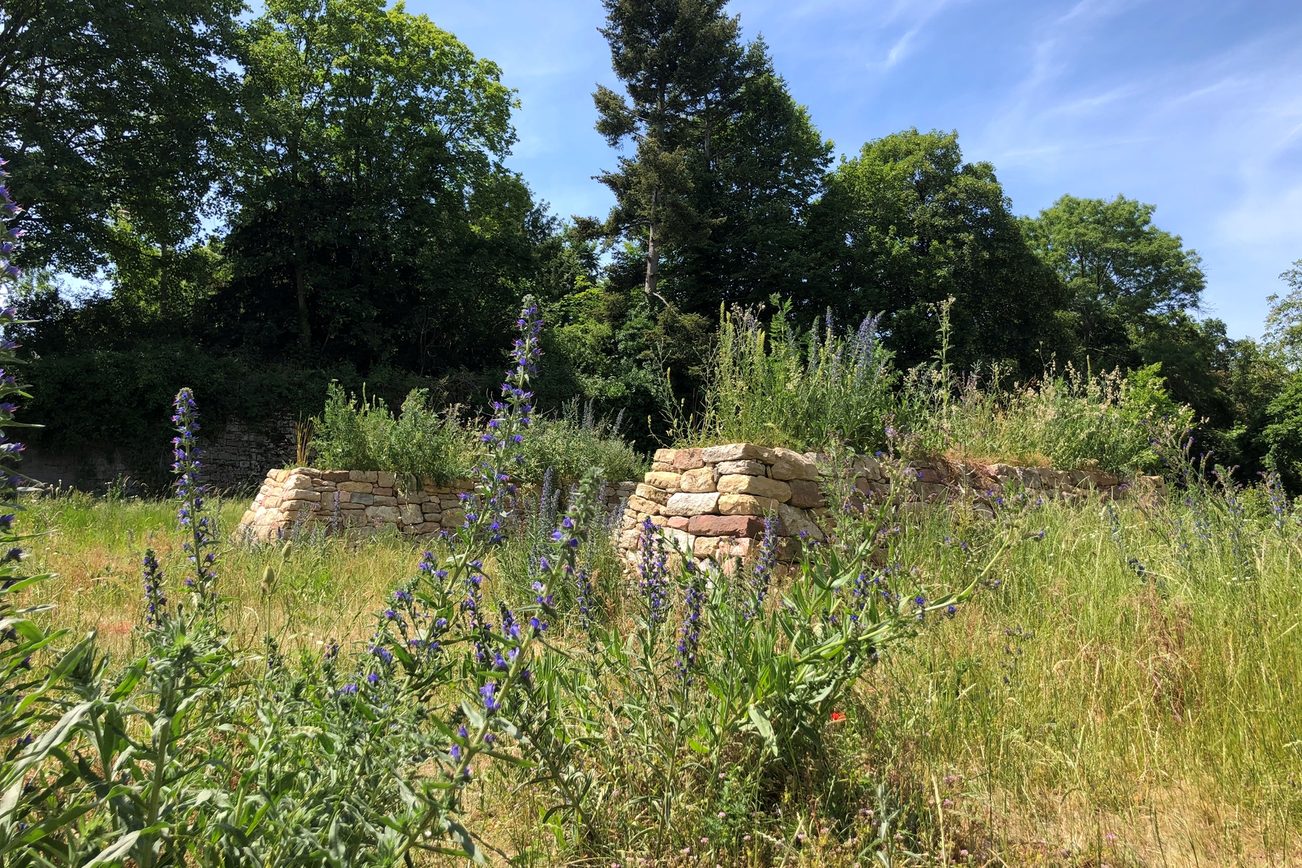 Trockenmauern und Wildstauden auf der Zitadelle