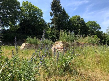 Trockenmauern und Wildstauden auf der Zitadelle