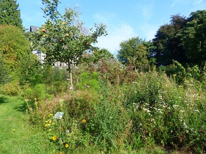 Natur Hausgarten