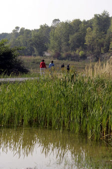 Teich auf dem Gebiet des ehemaligen Steinbruchs