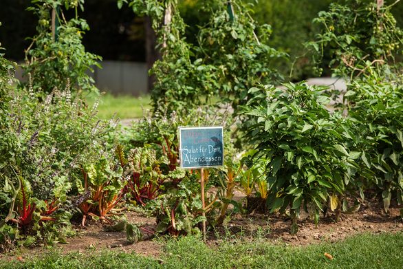 Urban Gardening ist Trend!