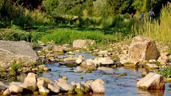 Renaturierter Wasserlauf im Gonsbachtal