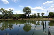 Teich im Laubenheimer Ried