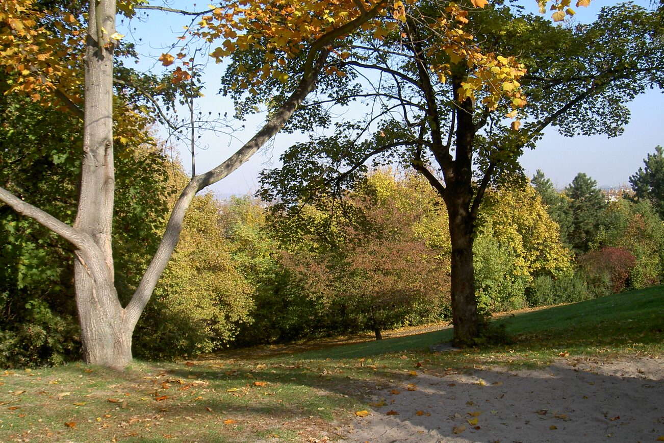 Hartenbergpark Mainz