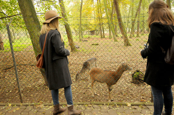 Besucher des Wildparks Gonsenheim